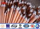 High Conductivity Copper Ground Rod 1/2&quot; 5/8&quot; 3/4&quot; Threaded Flat Pointed تامین کننده