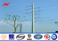 ISO Electrical Power Pole Powerful Transmission Line GR65 Galvanized Steel Poles تامین کننده